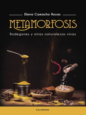 cover image of Metamorfosis